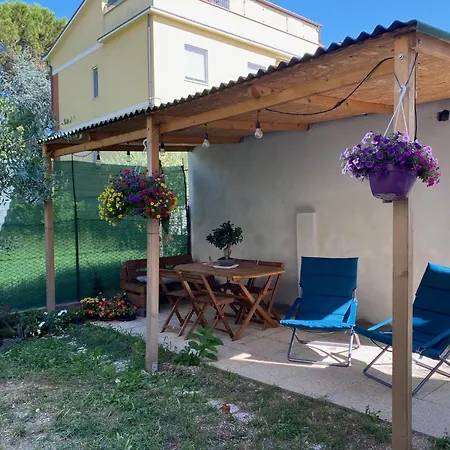 Bonsai - Gasthof Pesaro