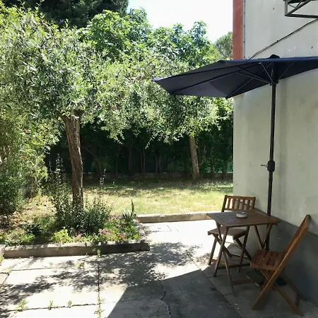 Bonsai - * Pesaro