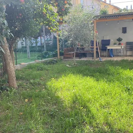 Bonsai - * Pesaro